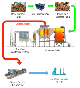 Biomass – Samaiden